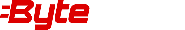 ByteFLASH Logo