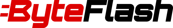 ByteFLASH Logo